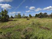 Дома, хозяйства,  Московская область Новорижское ш., Фото