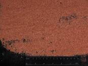 Домашние растения Земля и удобрения, Фото