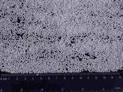 Домашние растения Земля и удобрения, Фото