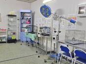 Ветеринария Ветеринары и ветеринарные клиники, Фото