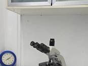 Ветеринария Ветеринары и ветеринарные клиники, Фото