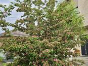 Дома, хозяйства,  Ростовская область Ростов-на-Дону, Фото