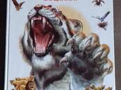 Книги Детская литература, Фото