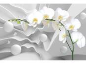 Стройматериалы,  Отделочные материалы Обои, Фото