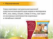 Животноводство Корм, Фото