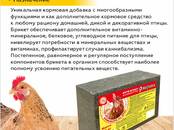 Животноводство Корм, Фото