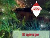 Квартиры,  Краснодарский край Сочи, Фото