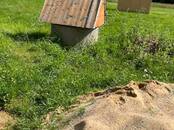 Дачи и огороды,  Московская область Новорижское ш., Фото