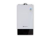 Сантехника,  Отопительные системы и котлы Котлы газовые, Фото