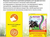 Животноводство Корм, Фото