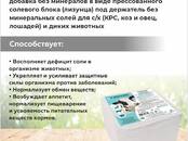 Животноводство Корм, Фото