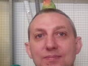 Ветеринария Ветеринары и ветеринарные клиники, Фото