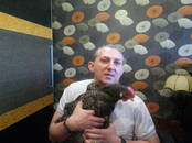 Ветеринария Ветеринары и ветеринарные клиники, Фото