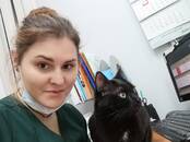 Ветеринария Ветеринары и ветеринарные клиники, Фото