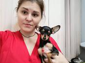 Ветеринария Ветеринары и ветеринарные клиники, Фото