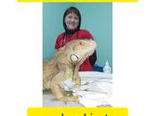 Ветеринария Ветеринары и ветеринарные клиники, Фото