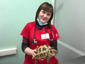 Ветеринария Ветеринары и ветеринарные клиники, Фото