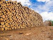 Стройматериалы,  Материалы из дерева Брёвна, Фото