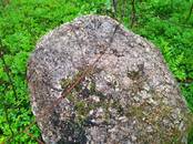 Строительные работы,  Строительные работы, проекты Обустройство территории, Фото