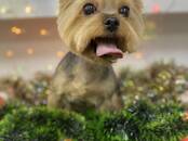 Животные Разное, Фото