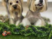 Животные Разное, Фото