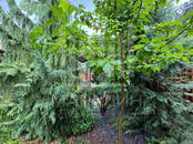 Дома, хозяйства,  Ростовская область Другое, Фото