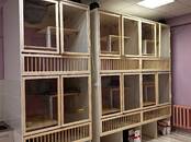 Животные Разное, Фото