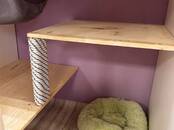 Животные Разное, Фото