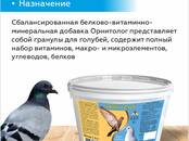 Птицеводство Корм, Фото