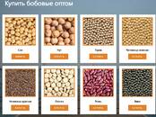 Продовольствие Зерно и мука, Фото