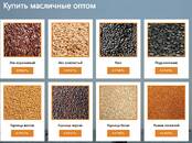 Продовольствие Зерно и мука, Фото