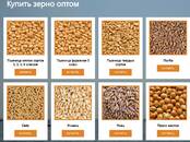 Продовольствие Зерно и мука, Фото