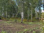 Здания и комплексы,  Красноярский край Красноярск, Фото