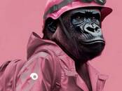 Перевозка грузов и людей Курьерская доставка, Фото