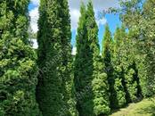 Дачи и огороды,  Московская область Минское ш., Фото