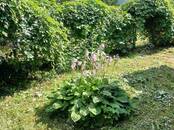 Дачи и огороды,  Московская область Минское ш., Фото