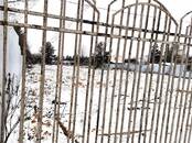 Земля и участки,  Московская область Ленинградское ш., Фото