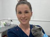 Ветеринария Ветеринары и ветеринарные клиники, Фото