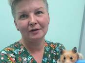 Ветеринария Ветеринары и ветеринарные клиники, Фото