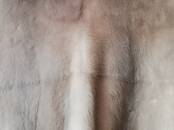 Женская одежда Шубы, Фото