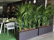 Хозяйственные работы Уход за домашними растениями, Фото