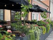 Хозяйственные работы Уход за домашними растениями, Фото