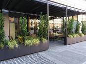 Хозяйственные работы Уход за домашними растениями, Фото