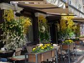 Хозяйственные работы Уход за домашними растениями, Фото