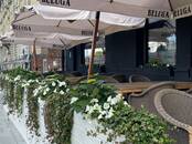 Хозяйственные работы Уход за домашними растениями, Фото