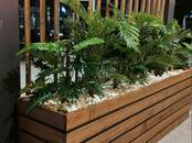 Хозяйственные работы Уход за домашними растениями, Фото