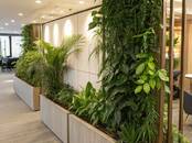 Хозяйственные работы Уход за домашними растениями, Фото