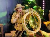 Отдых, увлечения Всё остальное ..., Фото