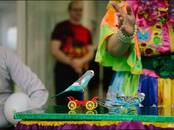 Животные Разное, Фото