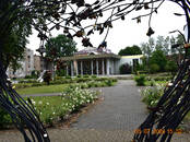 Хобби, увлечения Искусство, Фото